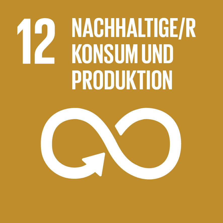 SDG-icon-DE-12.jpg